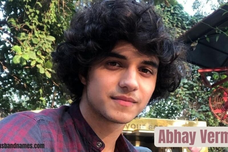 Abhay Verma: Age, Biography, Career, Movies, Family, and Net Worth