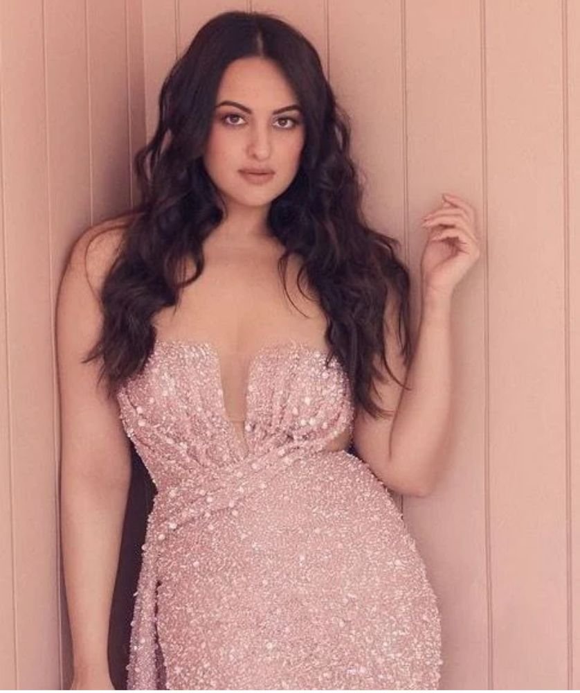 Sonakshi Sinha Career Journey
